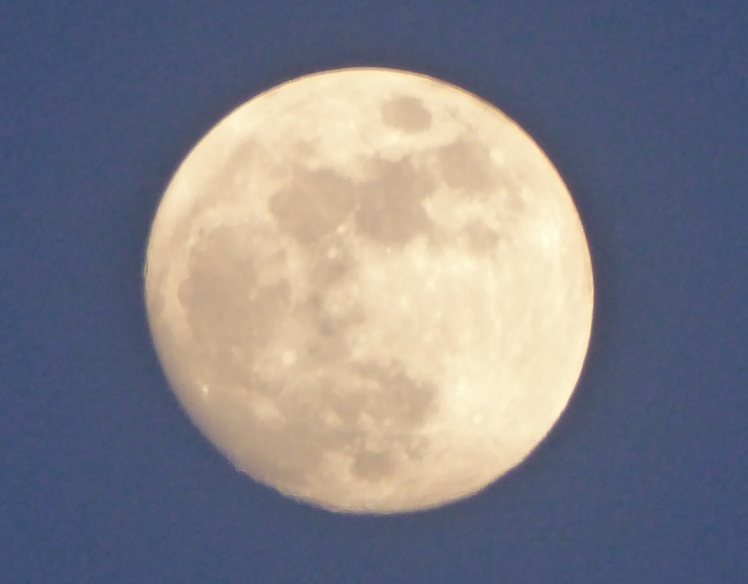 2016 march moon.JPG